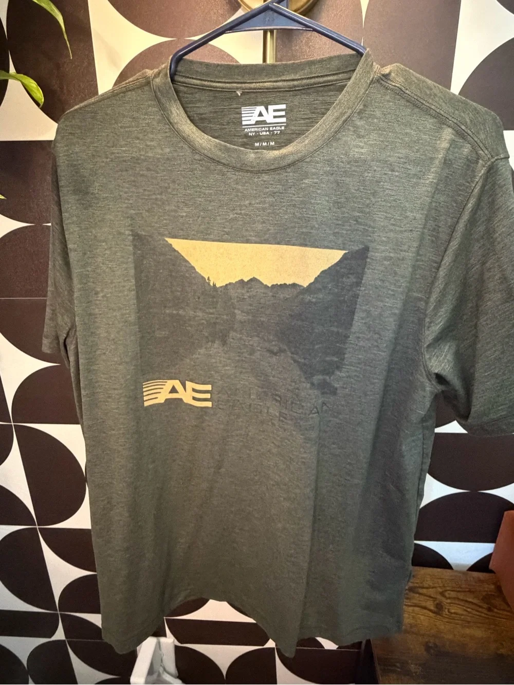 American Eagle Active Flex Graphic Performance Tee | Mens Medium